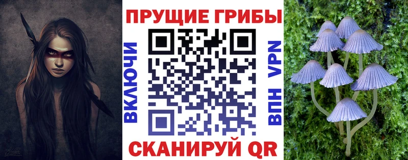 Псилоцибиновые грибы MAGIC MUSHROOMS  Калязин 